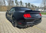 Ford Mustang Cabrio 5.0 V8 GT Shelby Style GT500 Cabrio